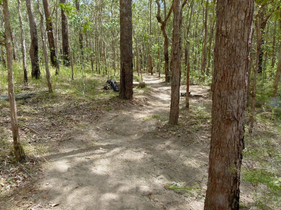 P1140009.jpg